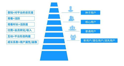互联网公司如何构建一套完整的用户成长体系 策略、实施与运营实践