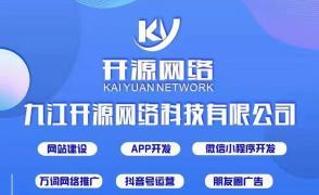 九江专业网络公司 一站式系统软件、网站开发与App建设运营服务